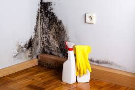 Mold Odor Removal Services in Glasgow Village, MO